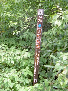 Rattlesnake Ridge trail (CNF 26) started at Pleasant Garden and was quite grown-over with weeds, in need of some maintenance.