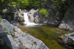 Upper Falls just 30' from the brink of the larger falls. We noticed numerous trout in the water. 