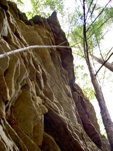 Cliff overhang of maybe 20' at this point, notice how the tree has to bend to get out from under it