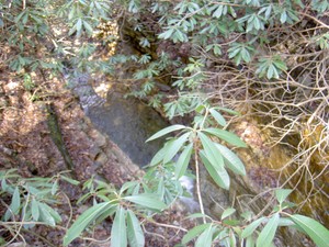 Looking down at the pool at the base of Bailey Falls